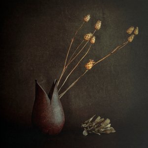  de Cicek Kiral