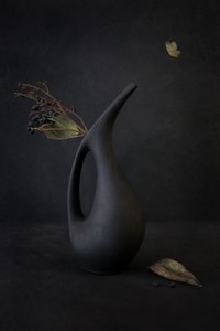  de Cicek Kiral