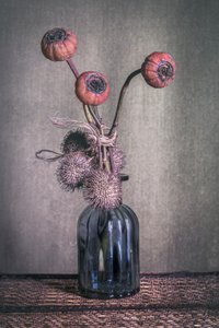  de Cicek Kiral