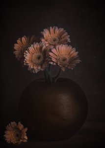  de Cicek Kiral