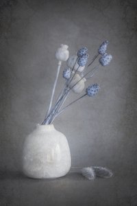  de Cicek Kiral