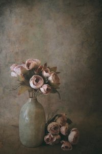 de Cicek Kiral
