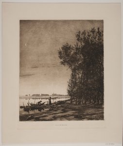 Árboles junto a un lago
