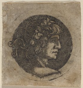 Cabeza de un Emperador Romano de Circle of Francesco Francia