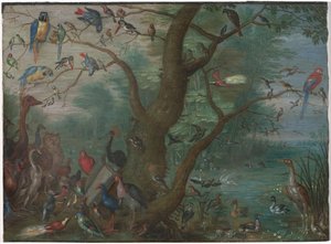 Concierto de pájaros de Circle of Jan van Kessel the Elder