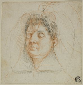 Máscara de muerte de una mujer de Circle of Lavinia Fontana
