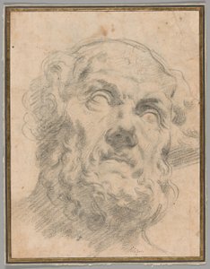 Cabeza de un anciano, posiblemente Séneca de Circle of Peter Paul Rubens