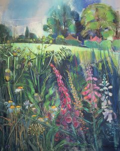 Campo de Verano de Claire Spencer