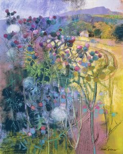 La Belleza Salvaje de Clee de Claire Spencer