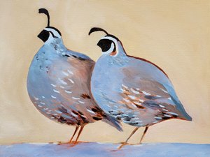 Encantadora pareja de codornices de Claire Whitehead