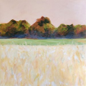  de Claire Whitehead