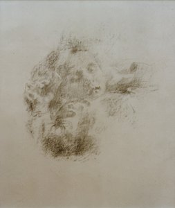 Cabeza de un niño dormido de Clara Siewert