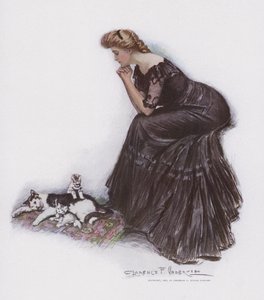 Mujer observando a un gato y sus gatitos