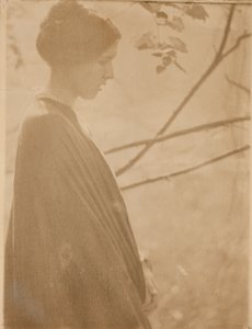 Luz del sol