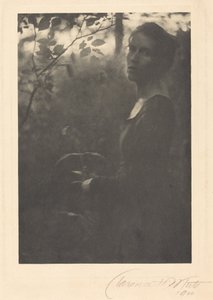 Edge of the Woods, atardecer,1900 (foto)