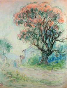 Árbol rosa