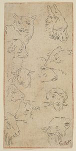 Estudio de cabezas de animales de Claude Gillot