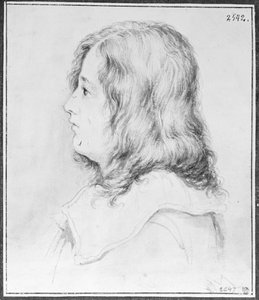Joven caballero con el pelo largo