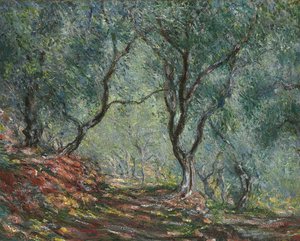 Bosque de olivos en el jardín Moreno, 1884 de Claude Monet