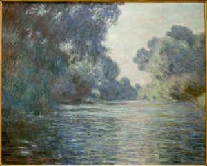 Brazo del Sena cerca de Giverny