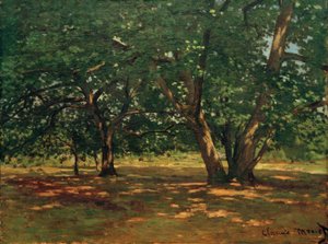 Bosque de Fontainebleau