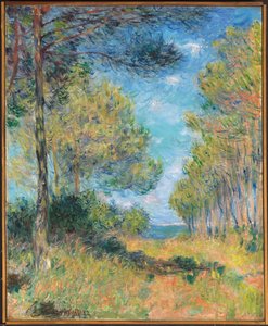 Camino de pinos en Varengeville; Allee de sapins Varengeville, 1882 de Claude Monet
