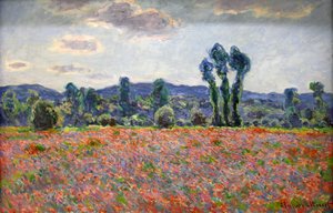 Campo de amapolas