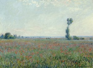 Campo de amapolas, 1881