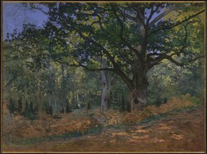 El Roble Bodmer, Bosque de Fontainebleau, 1865