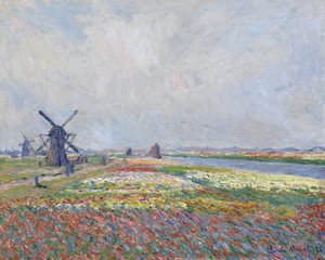 Campos de tulipanes cerca de La Haya de Claude Monet