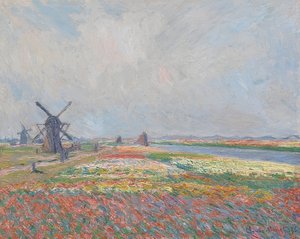 Campos de tulipanes cerca de La Haya