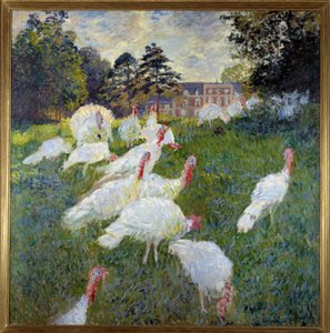 Pavos (Vista del castillo de Rottembourg en Montgeron)