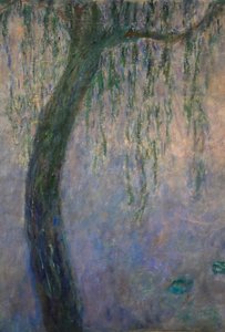 Nenúfares (óleo sobre lienzo)