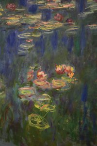 Nenúfares (óleo sobre lienzo) de Claude Monet