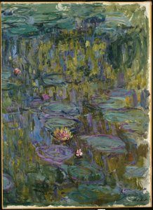 Nenúfares de Claude Monet
