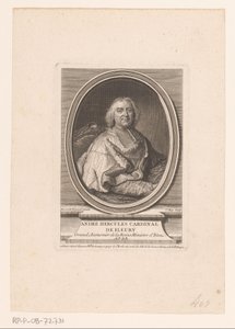 Retrato de André-Hércules de Fleury de Claude Roy