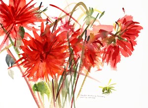 Dalias, 2002 de Claudia Hutchins Puechavy