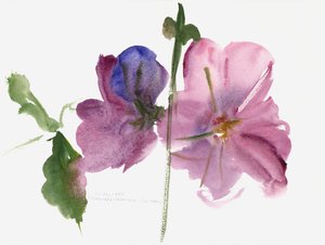 Malvarrosas, 1988