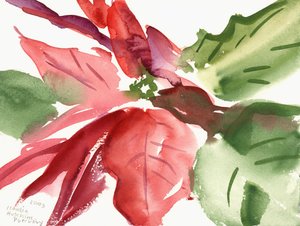 Poinsettia, 2003