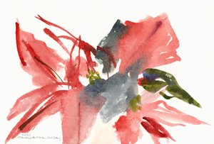 Poinsettia, 2003