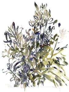 Senecio y otras plantas, 2003