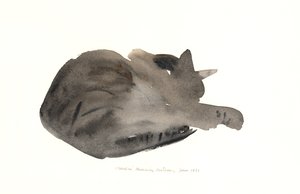 Gato durmiendo, 1985 de Claudia Hutchins Puechavy