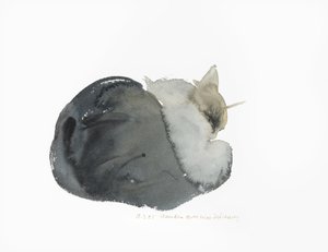 Gato durmiendo, 1985 de Claudia Hutchins Puechavy