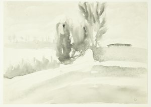 Paisaje con árboles