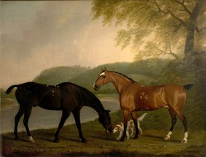 Caballos y perro en un paisaje, c.1830 de Clifton Tomson
