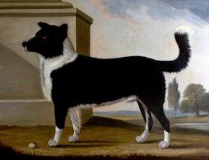 El Perro de Lord Byron, Boatswain (El Terranova) de Clifton Tomson