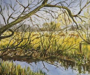 Water Meadows, Kintbury, a principios de mayo por la tarde