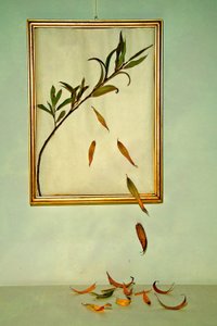  de Codruta Georgescu