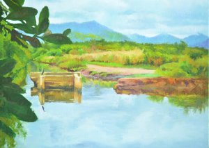 Reflejos de Colin Bootman
