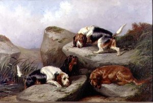 Perros de nutria, 1889 de Colin Graeme